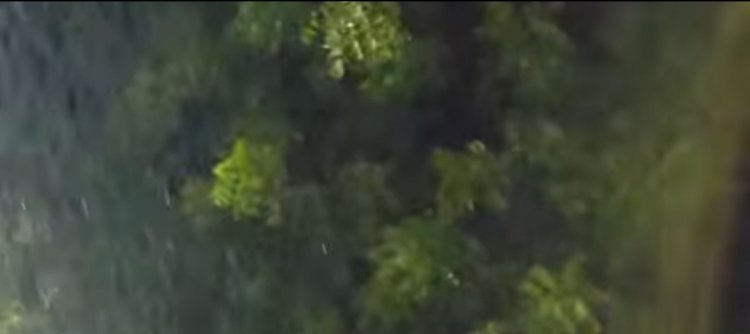 मौसम ने ली करवट हुई बारिश   