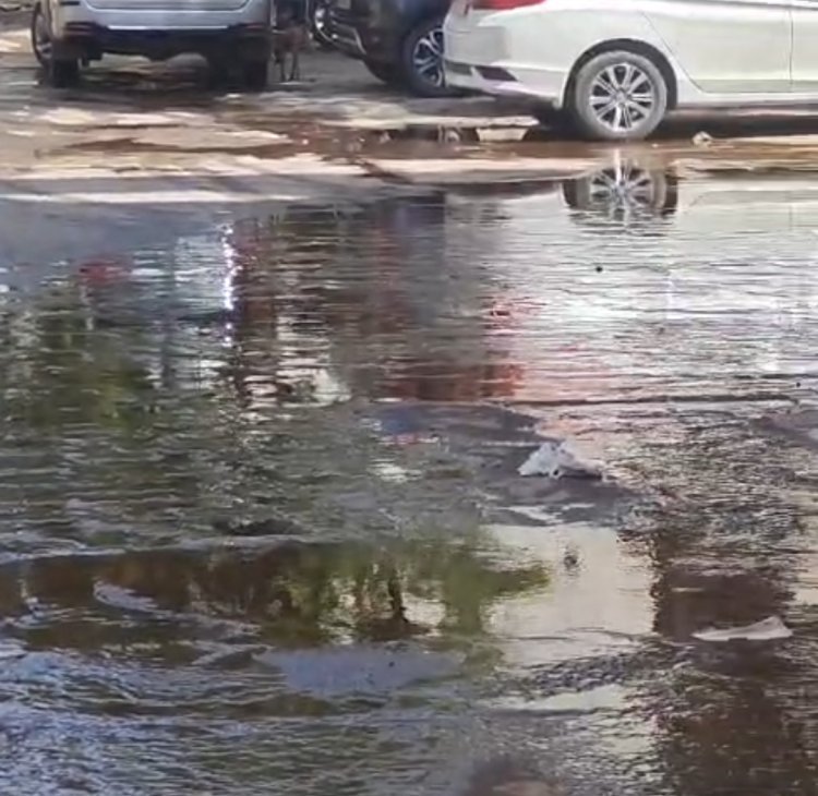 जोधपुर शहर के लिए सफाई व्यवस्थाओं की कोई शुद लेने वाला भी नहीं।