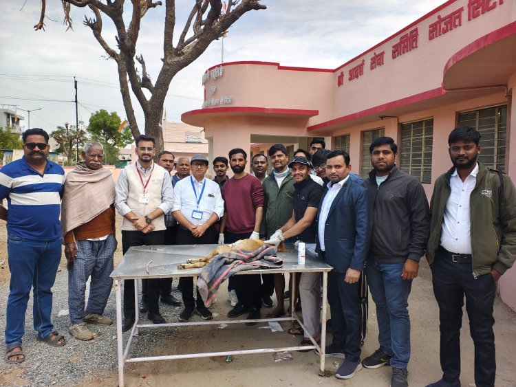 श्री राम सुंदरकांड मंडली की सराहनीय सेवा 8 वर्षों से घायल पशु-पक्षियों का कर रही उपचार