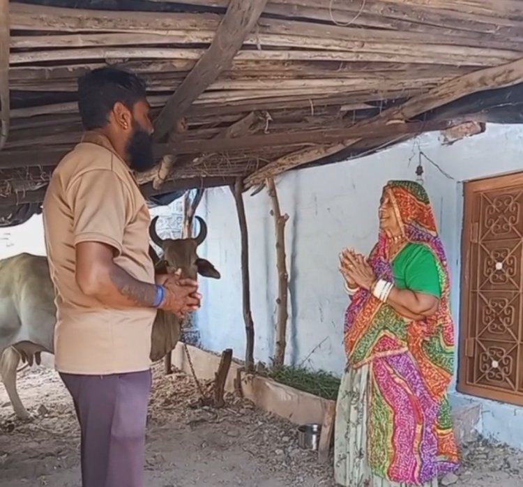 आवारा पशुओं पर सख्ती: नगर पालिका ने शुरू की विशेष अभियान की तैयारी