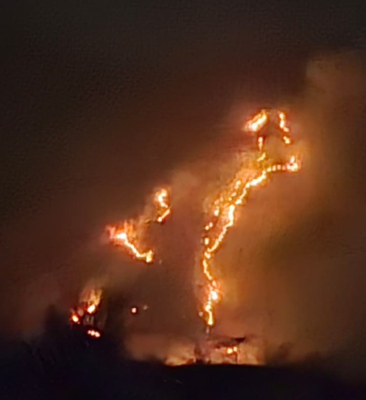 कुंभलगढ़ वन्यजीव अभ्यारण्य के जंगलों में भड़की भीषण आग     