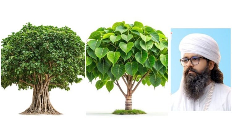 बेकाल ओरण मे 1 मई 2026 को होगा पीपल की शादी समारोह का आयोजन 