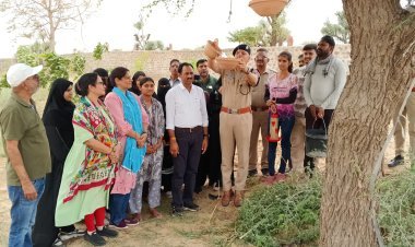 महाविद्यालय में पर्यावरण संरक्षण हेतु परिंडे, चुग्गा पात्र एवं घोंसला स्थापना कार्यक्रम सम्पन्न