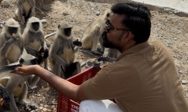 ज्येष्ठ की तपती दोपहरी में वानर सेवा का अनोखा उदाहरण बनी टीम बिजनेस मित्र