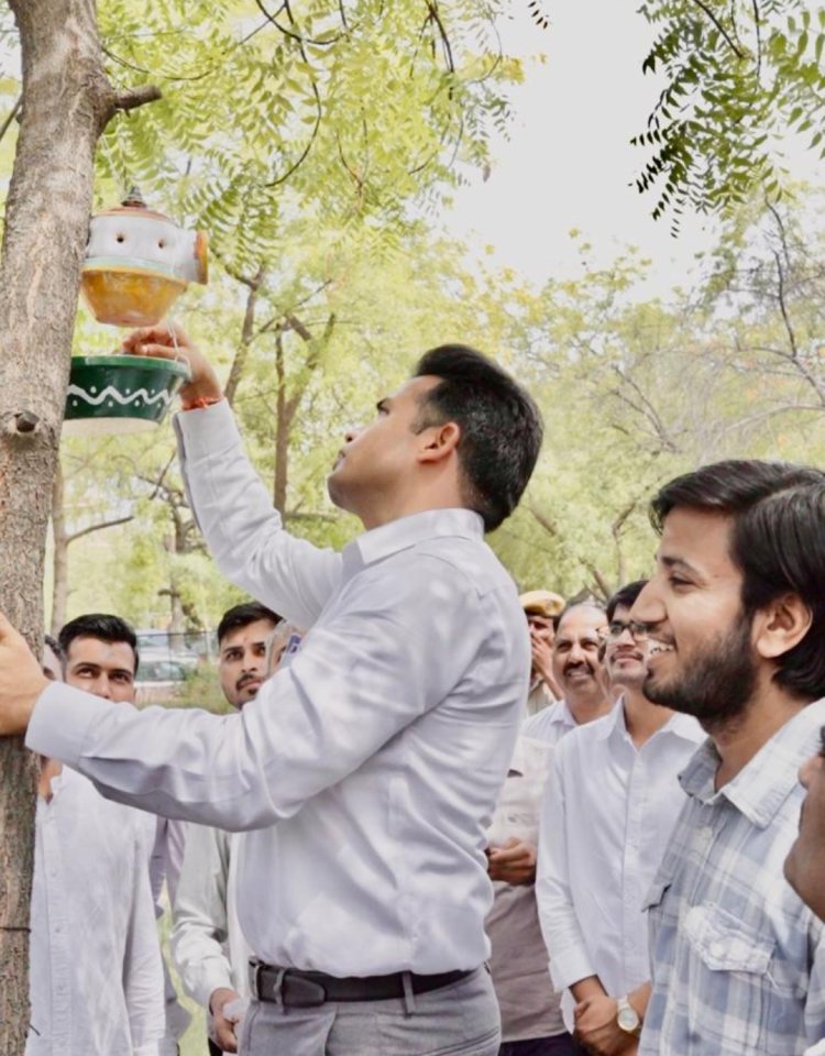 कलक्टर परिसर में लगाए परिंड़े