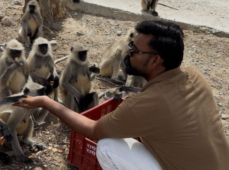 ज्येष्ठ की तपती दोपहरी में वानर सेवा का अनोखा उदाहरण बनी टीम बिजनेस मित्र
