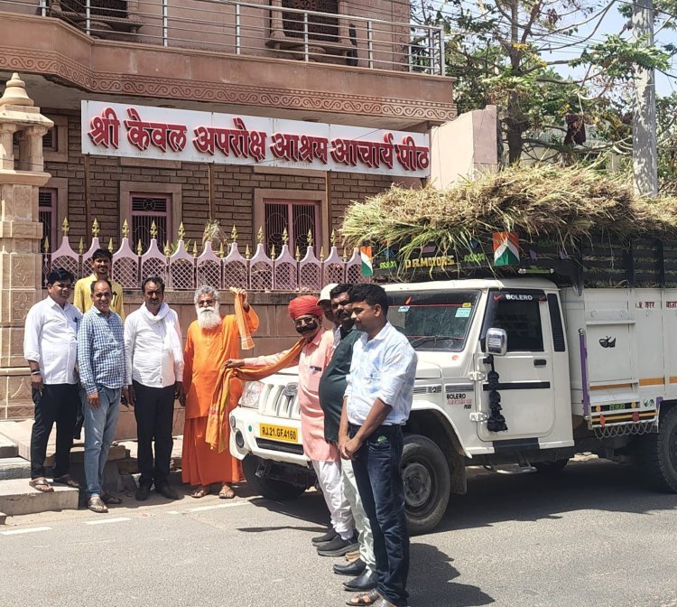 अच्छी पहल की चहुंओर सराहना   सामूहिक विवाह बचत से गौ माता को हरा चारा वितरण 