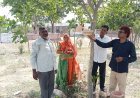 बेज़ुबान पंछियों के लिए लगाए 51 परिंडे, पर्यावरण संरक्षण का दिया संदेश