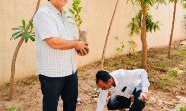 वृक्ष प्रकृति की अमूल्य धरोहर : लोढ़ा*