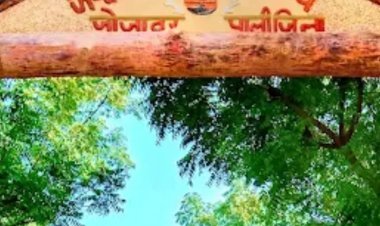 जवाहर नवोदय विद्यालय, जोजावर में कक्षा XI की रिक्त सीटों पर प्रवेश हेतु आवेदन आमंत्रित**