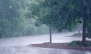 राजस्थान में मानसून एंट्री पर IMD अपडेट