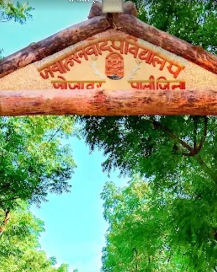 जवाहर नवोदय विद्यालय, जोजावर में कक्षा XI की रिक्त सीटों पर प्रवेश हेतु आवेदन आमंत्रित**