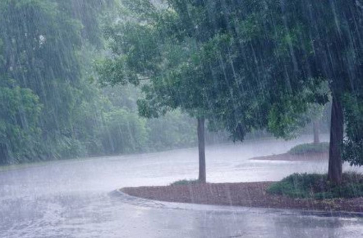 राजस्थान में मानसून एंट्री पर IMD अपडेट