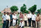 पर्यावरण संतुलन में पौधों की अहम भूमिका होती हैं - कैलाश गहलोत