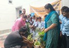 मदरसा डॉ. अब्दुल हकीम ख़ताई मेमोरियल सेंटर में 'हरियालो राजस्थान' अभियान के तहत हुआ वृक्षारोपण