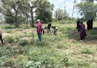 राजकीय कन्या महाविद्यालय में कल होगा सघन पौधरोपण अभियान, तैयारियां अंतिम चरण में