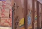 1.25 करोड़ कीमत की पंजाब निर्मित अवैध शराब एवं बियर के कुल 1042 कार्टुन बरामद ।