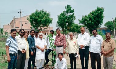 पर्यावरण संतुलन में पौधों की अहम भूमिका होती हैं - कैलाश गहलोत