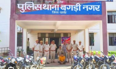 21.67 किलोग्राम डोडा पोस्त बरामद एक गिरफ्तार 