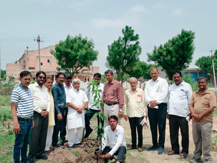पर्यावरण संतुलन में पौधों की अहम भूमिका होती हैं - कैलाश गहलोत