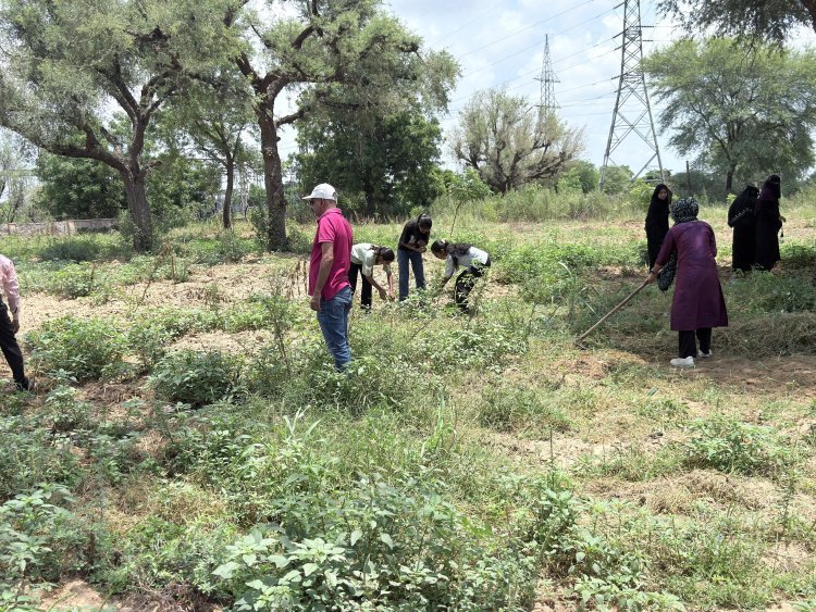 राजकीय कन्या महाविद्यालय में कल होगा सघन पौधरोपण अभियान, तैयारियां अंतिम चरण में