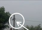 पोल से बिजली चोरी का वीडियो वायरल उपभोक्ताओं ने की कार्रवाई की मांग