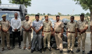 1297 किलोग्राम अवैध डोडा पोस्त बरामद