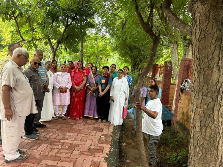 सोजत में आचार्य बालकृष्ण ऋषि के जन्मोत्सव पर पौधरोपण कार्यक्रम आयोजित
