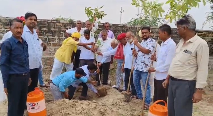 रांकाबांका धाम रोहट के निर्माण कार्य प्रोजेक्ट शीघ्र पुरा करने पर मीटिंग एवं वृक्षारोपण का आयोजन हुआ।