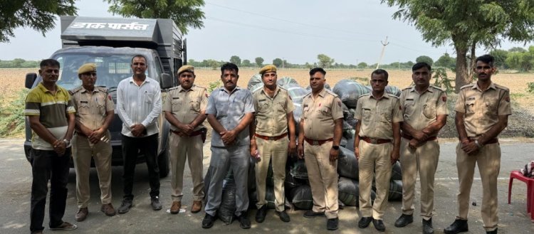 1297 किलोग्राम अवैध डोडा पोस्त बरामद