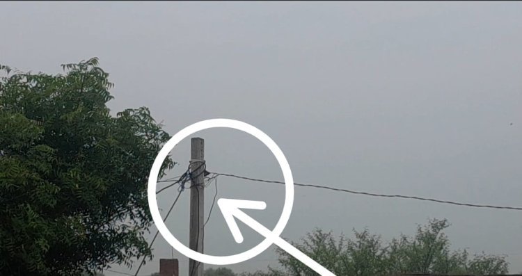 पोल से बिजली चोरी का वीडियो वायरल उपभोक्ताओं ने की कार्रवाई की मांग