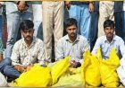 रेलवे के तांबे के तार चोरी करने वाले गिरोह का पर्दाफाश, आरपीएफ ने 6 आरोपियों को किया गिरफ्तार