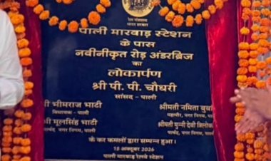 पूर्व विधायक का रेलवे अंडर पास अनावरण पट्टीका पर स नाम नहीं                                                               